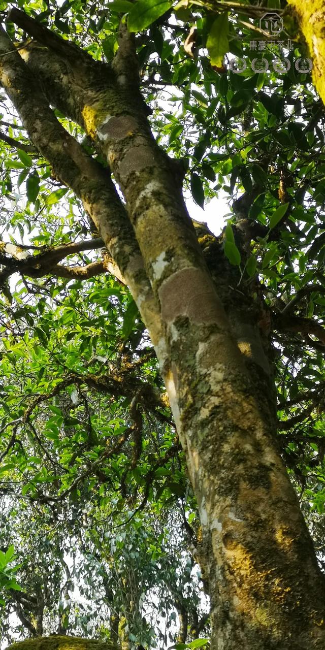 待疫情過去，我第一個想見你