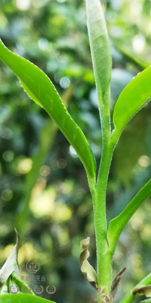 待疫情過去，我第一個想見你