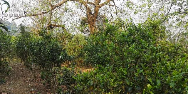 待疫情過去，我第一個想見你