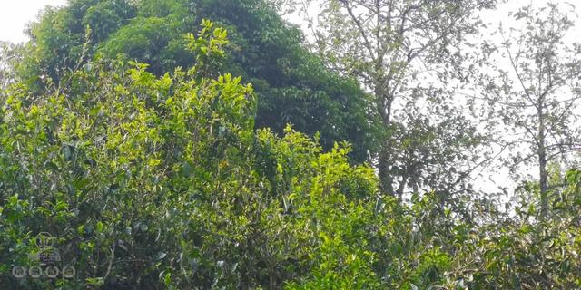 待疫情過去，我第一個想見你