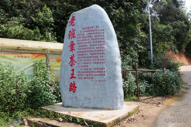 你所不知道的老班章(上篇)