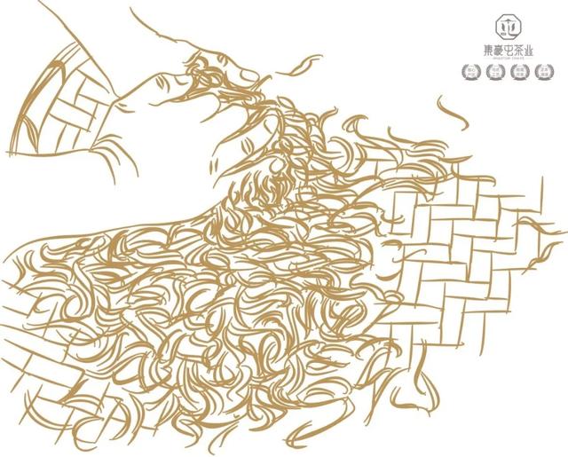 云南人不喝普洱茶?