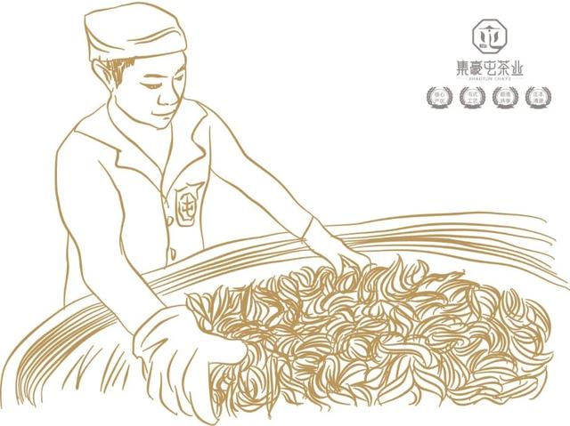 云南人不喝普洱茶?