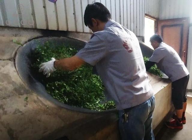 別再輕信謠言,回歸殺青的本真