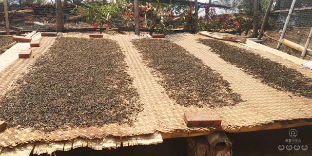 春來發(fā)幾枝,愿君多采擷