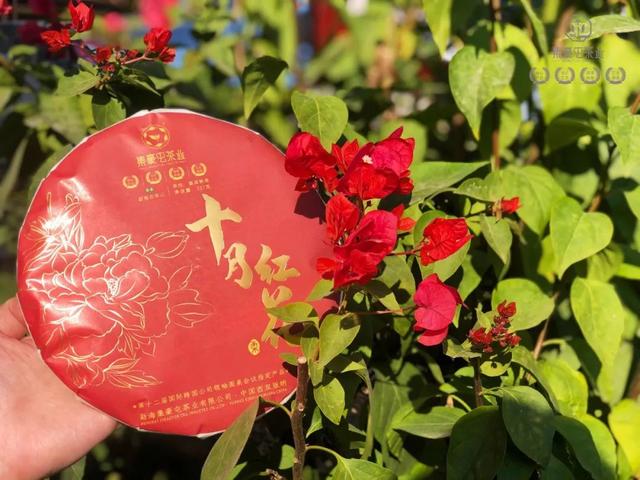 九月奇跡,十月紅花