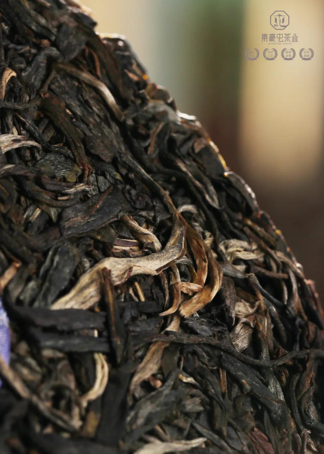 集豪屯·時速，與君共享生活真味