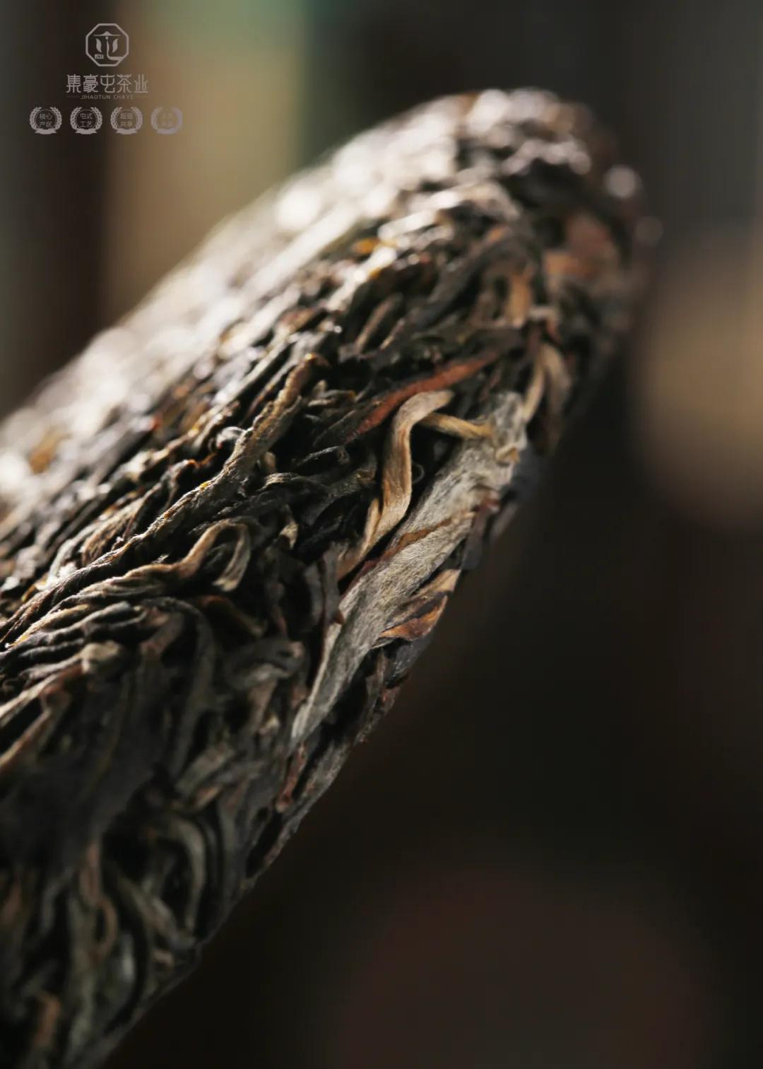 集豪屯·時速，與君共享生活真味